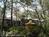 Montrose Hideaway Bed-and-Breakfast Retreat::BedAndBreakfast.com
