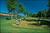War Memorial Park::Little Rock golf courses