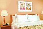 Fairfield Inn and Suites by Marriott Anderson