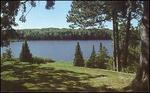 Hideout, The