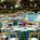 Marriott Orlando Airport::Orbitz