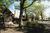 Big Meadows Lodge::Orbitz