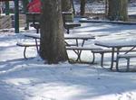 Glenmont Local Park