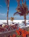 Tn-fmy_outr-beach-1