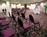 Best Western Roundhouse Suites::Orbitz