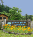 Mount Pisgah Arboretum