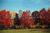 Ramada Clarks Summit Hotel from Orbitz