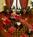 Moorpark Hotel - a Joie de Vivre Boutique Hotel::Expedia