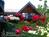 Good Medicine Lodge::BedAndBreakfast.com