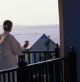Charleston Harbor Resort and Marina::ProfessionalTravelGuide.com