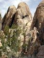 Tn-rocks