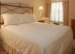 Comfort Inn & Suites Colonnade