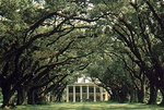 Oak Alley Plantation