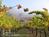 Country Garden Inns::BedAndBreakfast.com