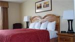Tn-p51058_room_01_f