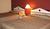 Hotel Blue Downtown::Expedia