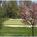 Heritage Hills Golf Resort And from Orbitz