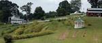 Field of Flowers at Pleasant Hill Farm