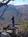The Chalet Club::BedAndBreakfast.com