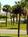 Savannah Beach Inn::BedAndBreakfast.com