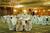 Holiday Inn Waterloo - Seneca Falls::Orbitz