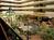 Holiday Inn University Plaza from ProfessionalTravelGuide.com