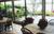 The River House Bed and Breakfast::BedAndBreakfast.com