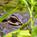 Fairfield Inn and Suites by Marriott Jupiter::Orbitz