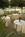 The Plaza Suites from Expedia