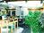 Flagship Inn::ProfessionalTravelGuide.com