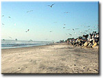 Tn-wisconsin_street_beach_0000