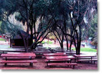 Rankin Park::Cityofmartinez
