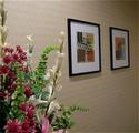 Holiday Inn Express Hotel & Suites Athens