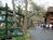 Dollywood::ThrillNetwork.com
