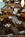 Holiday Inn Atlanta-Decatur::Orbitz