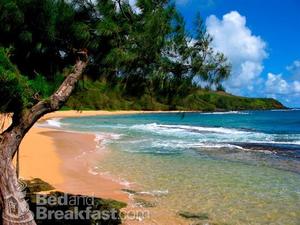 The Palmwood::BedAndBreakfast.com