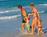 Ocean Surf Hotel::Hotels.com