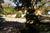 The Mansion on Turtle Creek, A Rosewood Hotel::ZoomAndGo