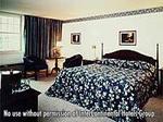 Tn-amnia_c1