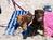 2 BR PEACEFUL ISLAND GETAWAY - WALK TO THE BEACH, NEWLY RENOVATED::PetFriendly.com