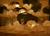 Holiday Inn Express Frederick::Orbitz