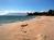 Palauea Beach::Farm1.static.flickr.com