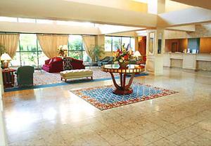 Web-hvn_tmar-lobby-1
