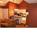 Hawthorn Suites::Priceline.com