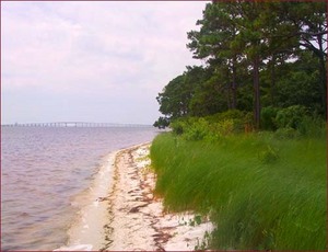 Gulf Islands National Seashore::Pensacola