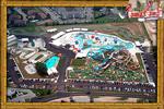 Jungle Jim's