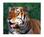 Great Plains Zoo from Epinions.com