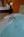 Holiday Inn Express Hotel & Suites Chattanooga-Hixson::Priceline.com