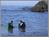 Stillwater Cove from Russianrivertravel.com