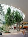 Tn-bos_hilt-lobby-2